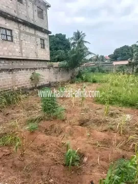 Terrain a vendre demi lot a yokoe catholique lome togo