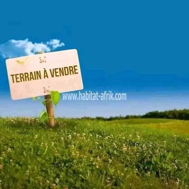 465 hectares en vente à Kévé Djoko (AVE-TOGO)