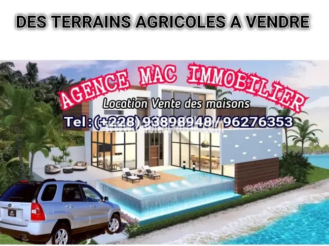 Terrain Agricole à vendre avec titre foncier* à amouzoukopé 300 mètres et 3 km de la route